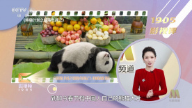 文/迪莫 []稿件，转载请注明。